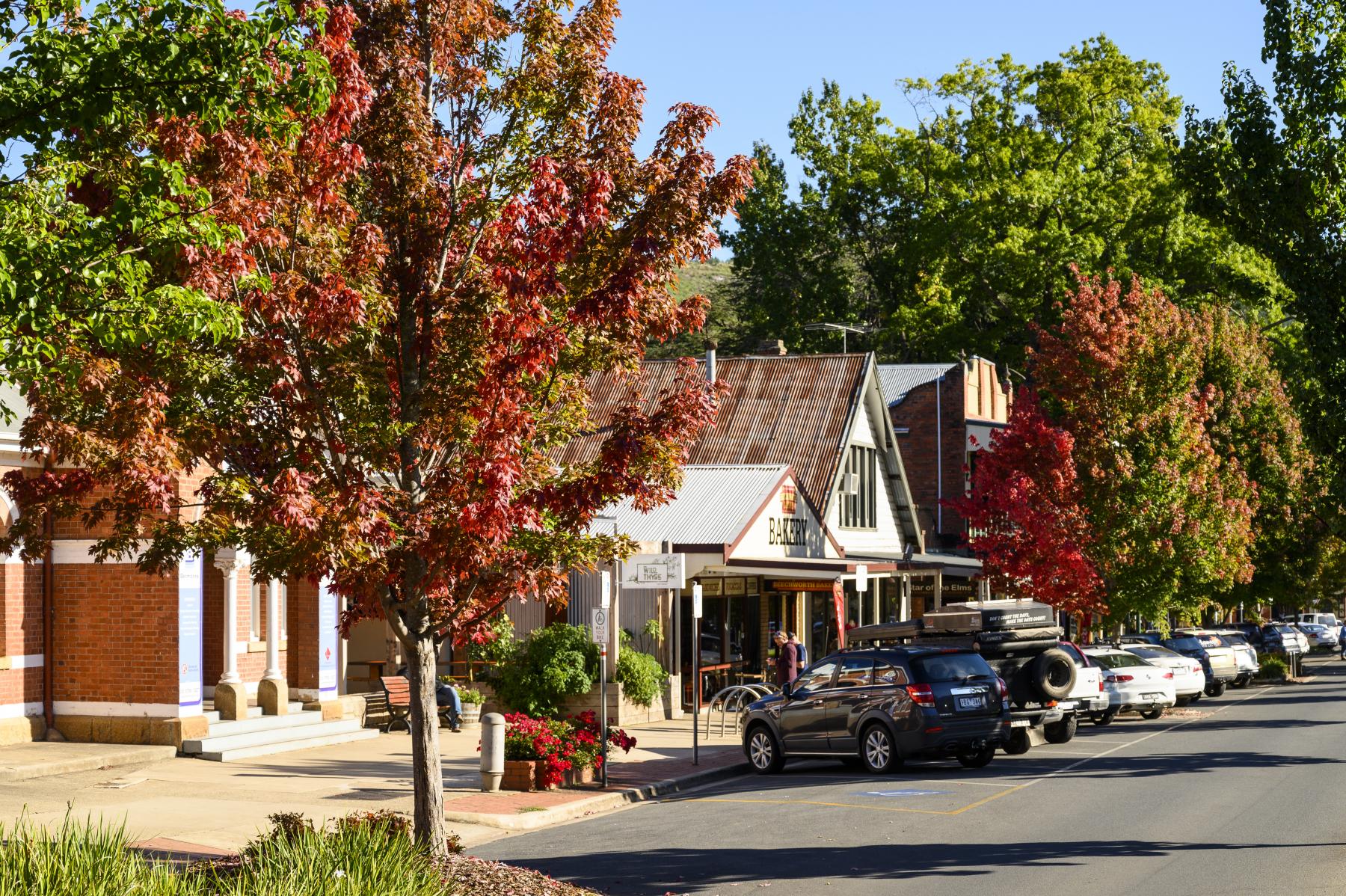 Streets of Bright by Visit Victoria